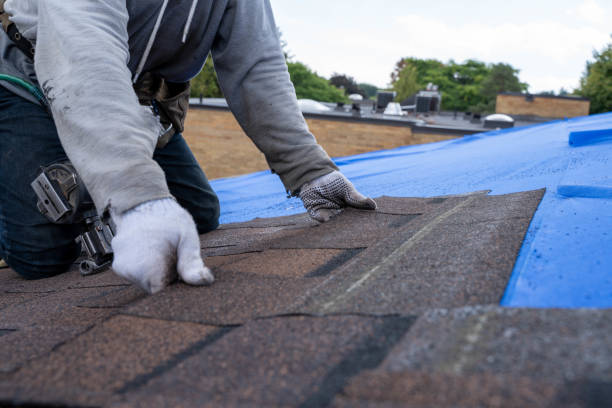 Best Metal Roofing Contractor  in Seven Fields, PA